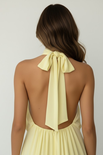 Chiffon Halterneck A-Line Mini Dress for Women