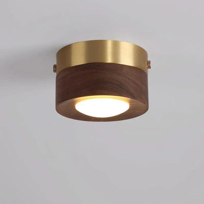 EMBERLED – Energy-saving Walnut Light Solution